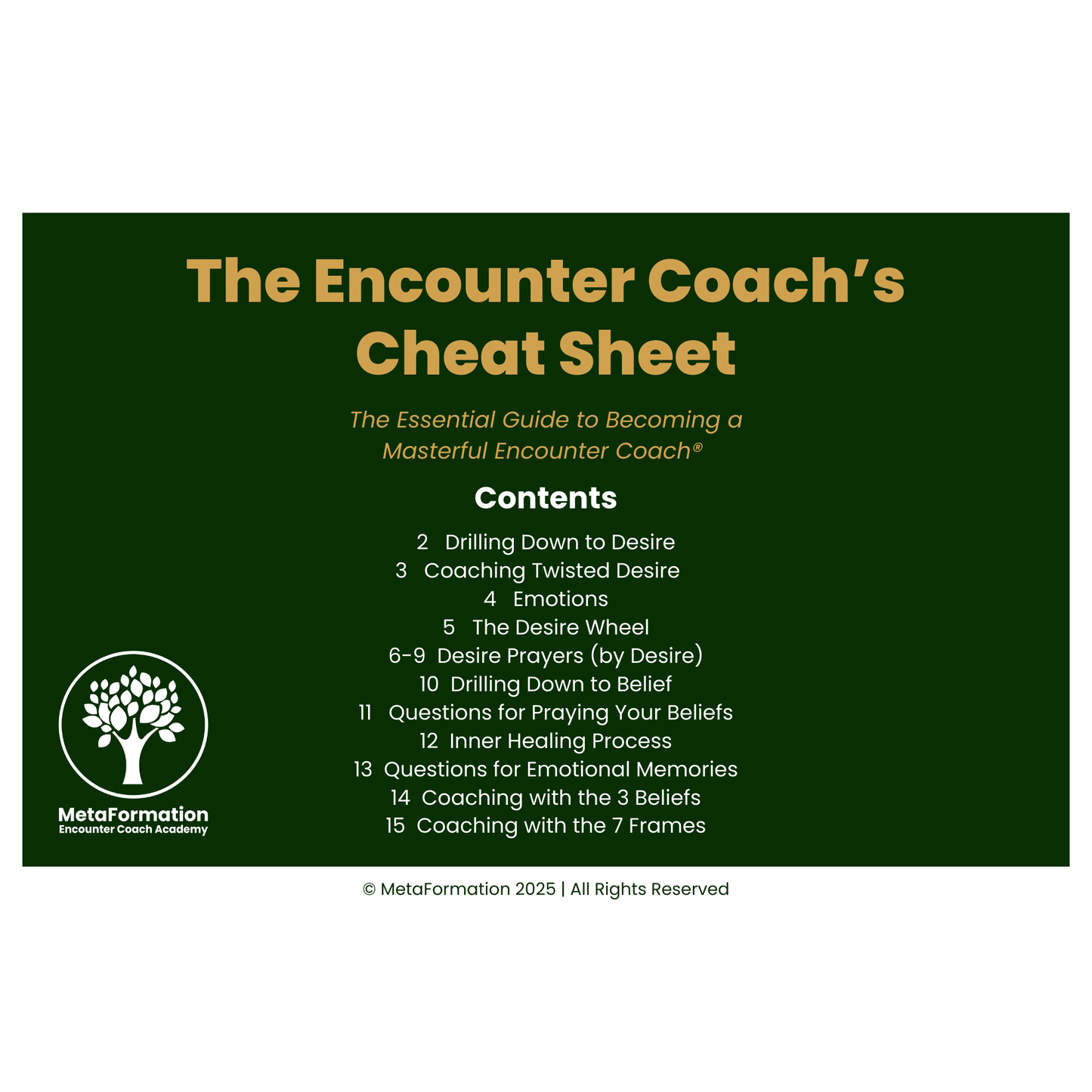 The Encounter Coach's Cheat Sheet