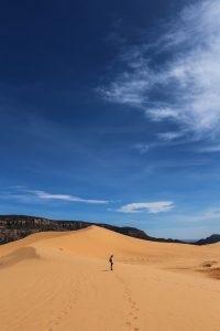 Transformational Coaching Means Taking the Long View