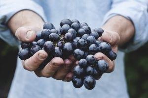Feedback Should Be a Part of Your Diet