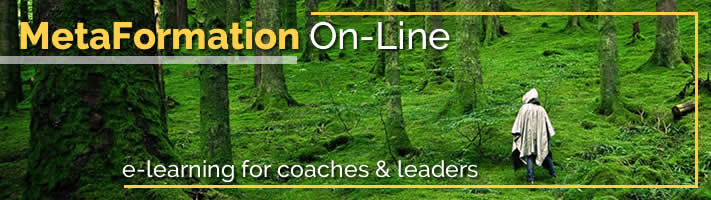 On-line Coaching Courses