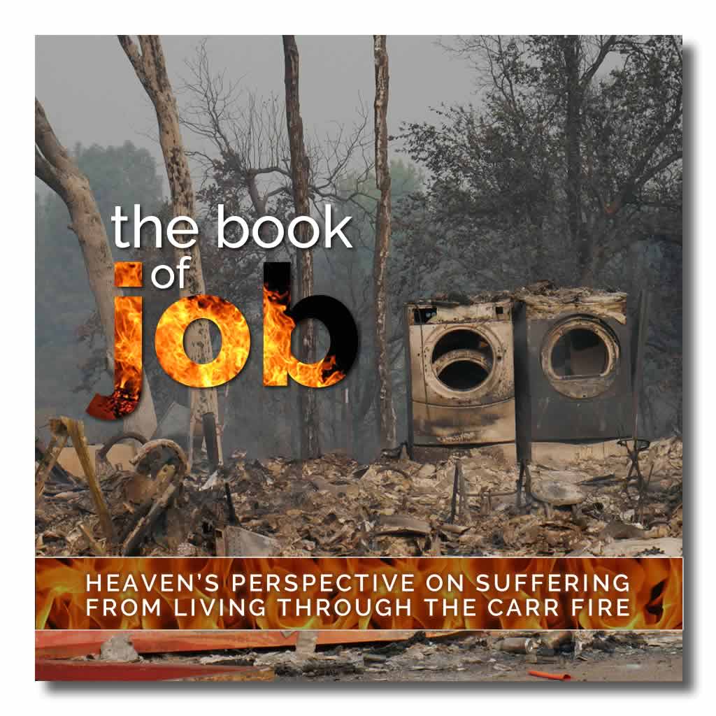 Heaven's Perspective on Suffering - Book of Job (Streaming Video)